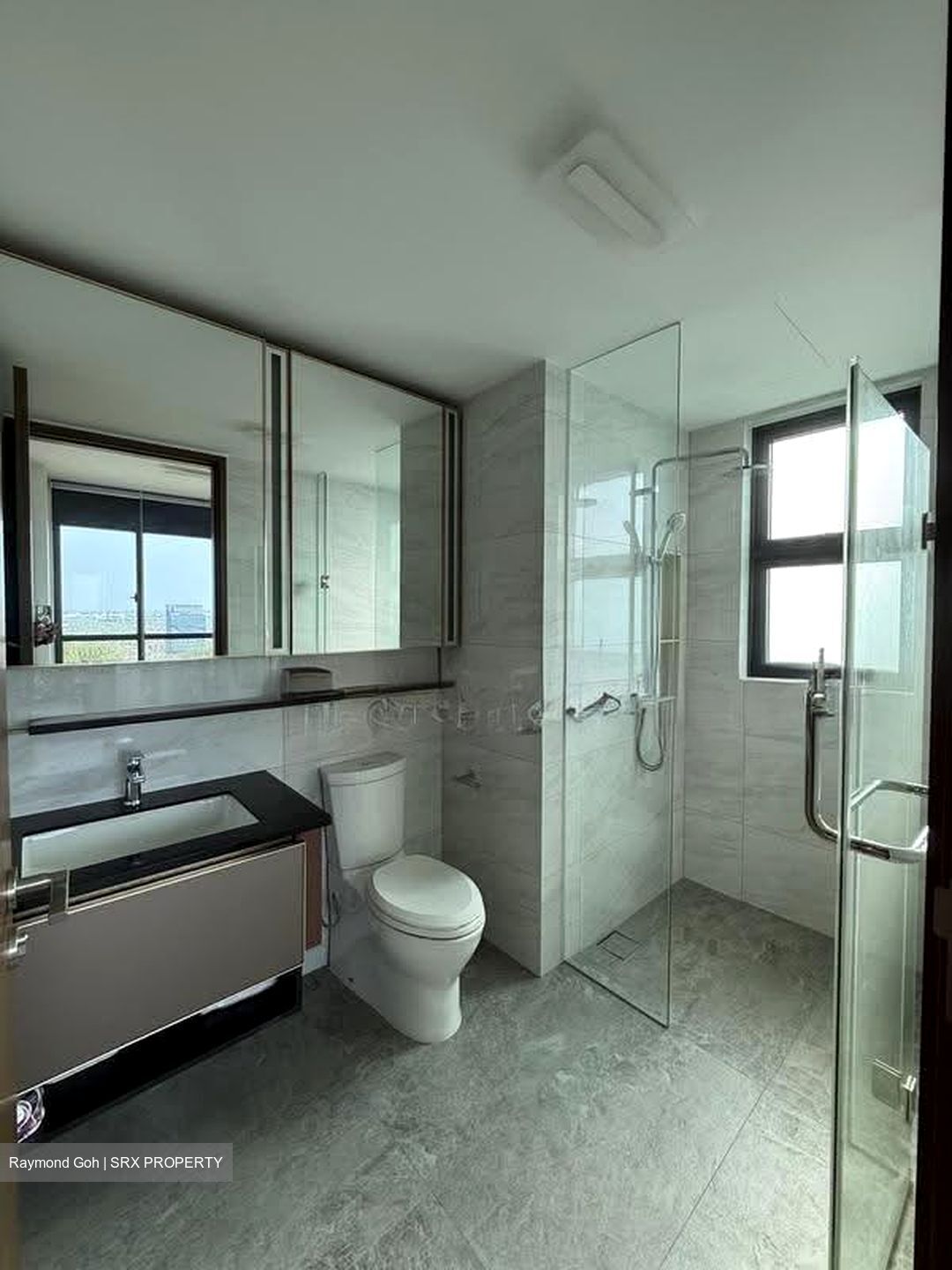 Normanton Park (D5), Apartment #612065901